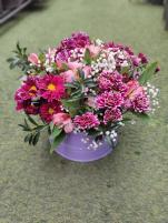 باکس داوودی و الستر طیف صورتی بنفش