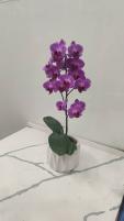 گلدان ارکیده بنفش