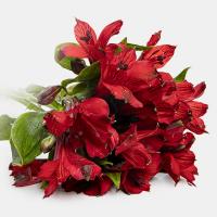 دسته گل آلسترومریا زرشکی