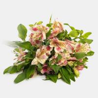 دسته گل آلسترومریا صورتی