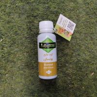 کود مایع بنسای کودینو