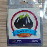 بذر بادمجان دلمه ای