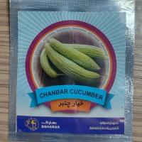 بذر گوجه چری زر