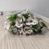 دسته گل آلسترومریا سفید