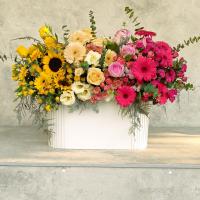 باکس گل پالت فلورین