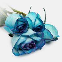 دسته گل رز هلندی آبی