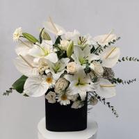 باکس گل مهتاب خاموش