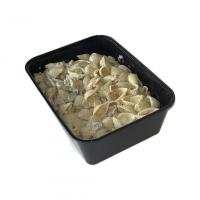 سالاد ماکارونی یک کیلو