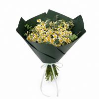 دسته گل بابونه وحشی کوچک