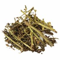 آویشن شیرازی