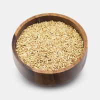 تخم کتان سفید