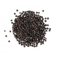 دانه فلفل سیاه