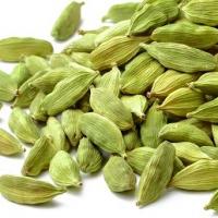 هل اکبر بنفش