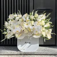 باکس گل آیلی