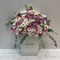باکس کرکره ای  تلما