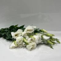 دسته گل لیسیانتوس سفید