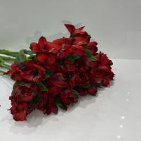 دسته گل آلسترومریا قرمز