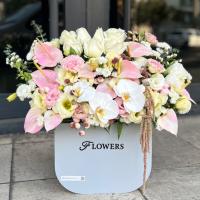 باکس گل لورنت