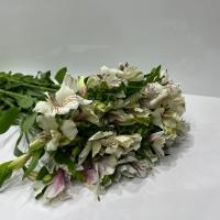 دسته گل آلسترومریا سفید