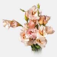 دسته گل لیسیانتوس گلبهی