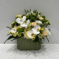باکس کرکره ای بیضی گلسار