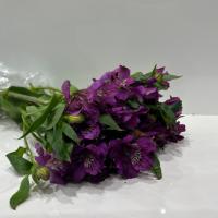 دسته گل آلسترومریا بنفش