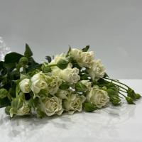 دسته گل رز مینیاتوری سفید