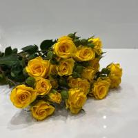 دسته گل رز مینیاتوری زرد
