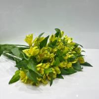 دسته گل آلسترومریا زرد
