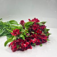 دسته گل آلسترومريا سرخابى