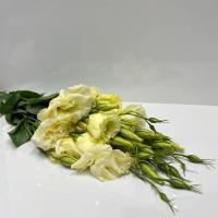 دسته گل لیسیانتوس کرم