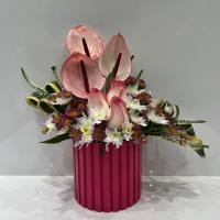 باکس کرکره ای کاملیا