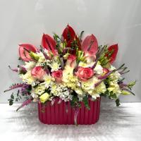 باکس کرکره ای سوفیا