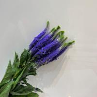 دسته گل ورونیکا بنفش