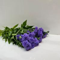 دسته گل آستر بنفش