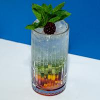 رد موهیتو رژیمی