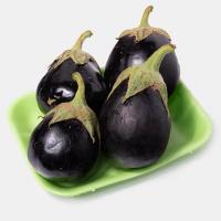 بادمجان دلمه درجه 1