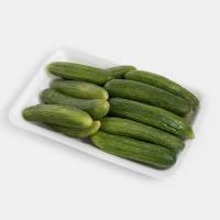 خیار بوته ای درجه 1