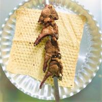 کباب شیشلیک