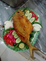 چلو ماهی مقوا درسته