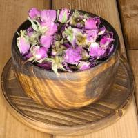 غنچه گل محمدی
