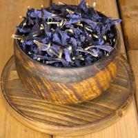 گل گاو زبان