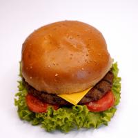 برگر مخصوص مستر هات داگ