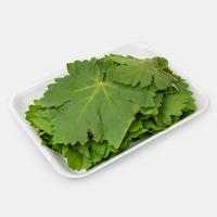 برگ مو ورامین