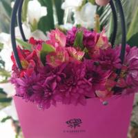 بگ گل مینیاتوری بهاره