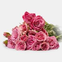 دسته گل رز مینیاتوری صورتی