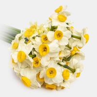 دسته نرگس 10 شاخه