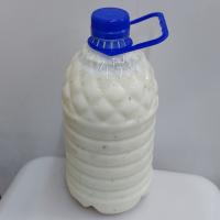 دوغ گاوی محلی نعنایی بزرگ