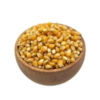 ذرت آمریکایی مخصوص پاپکورن