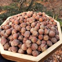 فندق با پوست خام